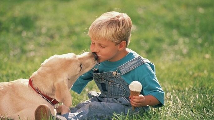 een jongen krijgt wormen van een hond