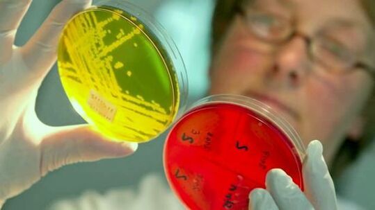 Onderzoek naar tests voor de detectie van parasieten in het menselijk lichaam